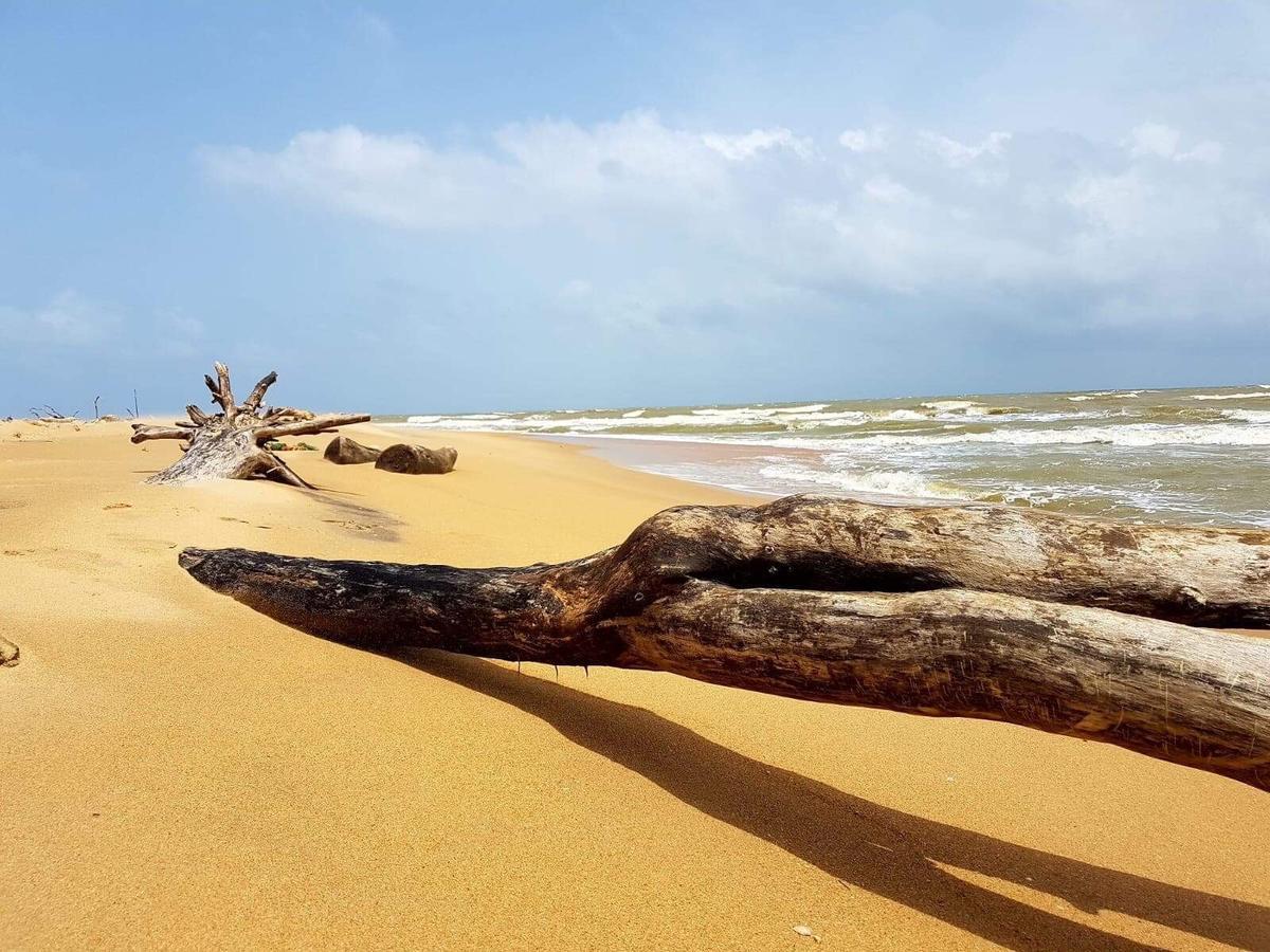 Sun Wind Beach Kalpitiya Kite Resort Kültér fotó